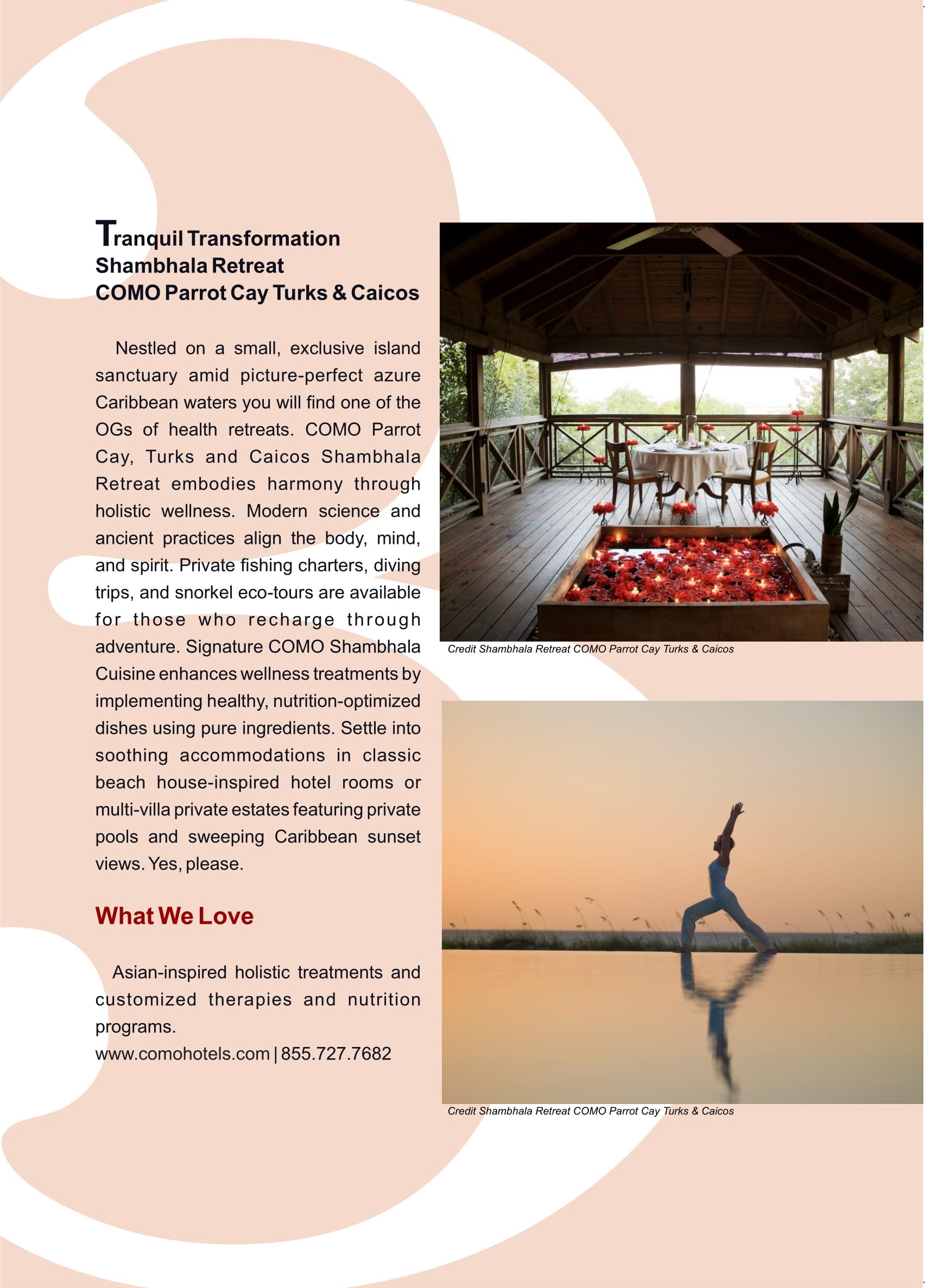 Wander for Wellness  at george magazine
