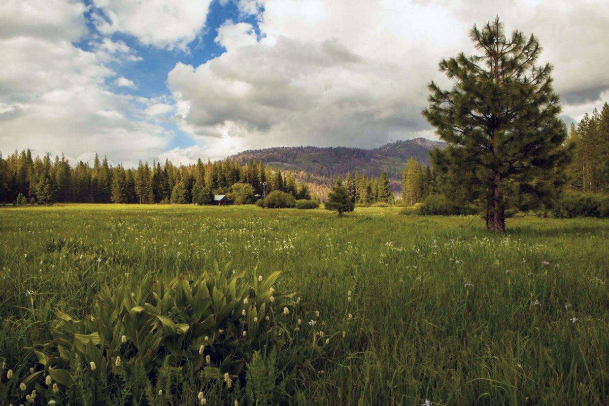 LIVE NOW: House Natural Resources Subcommittee’s Hearing on Biden’s ‘Efforts to Limit Access to Public Lands’  at george magazine