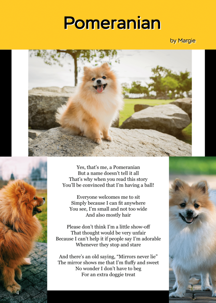 Pomeranian  at george magazine