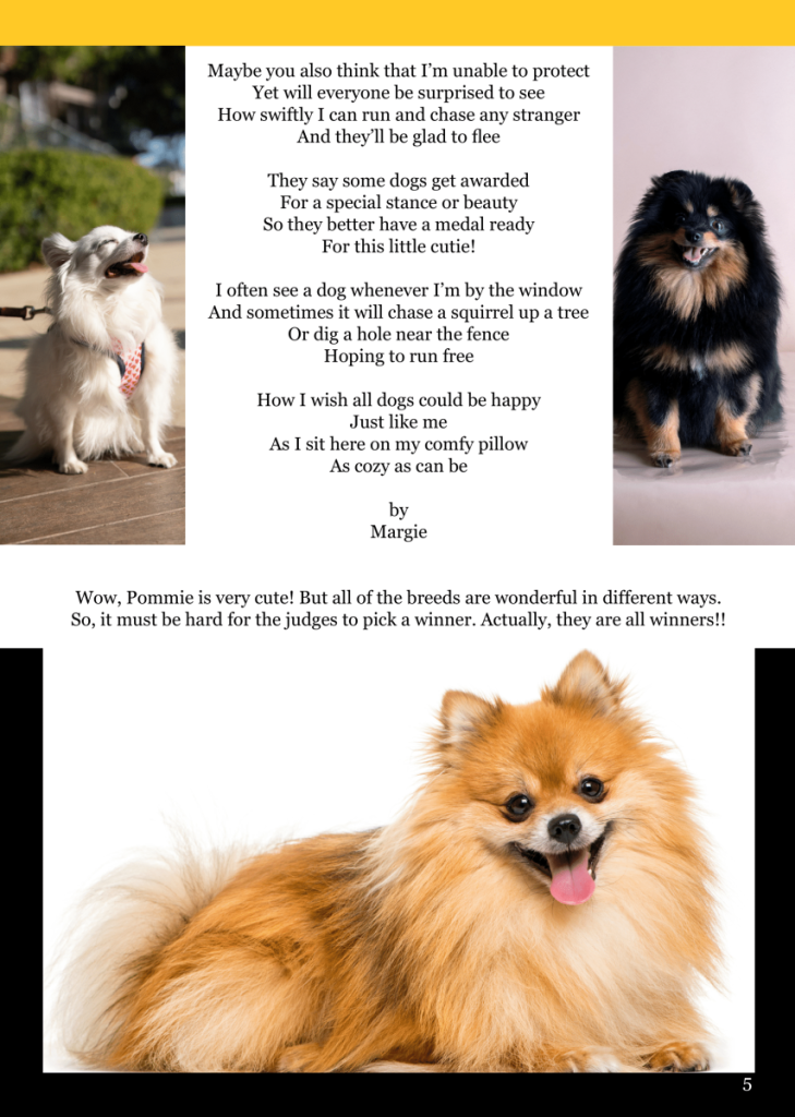 Pomeranian  at george magazine