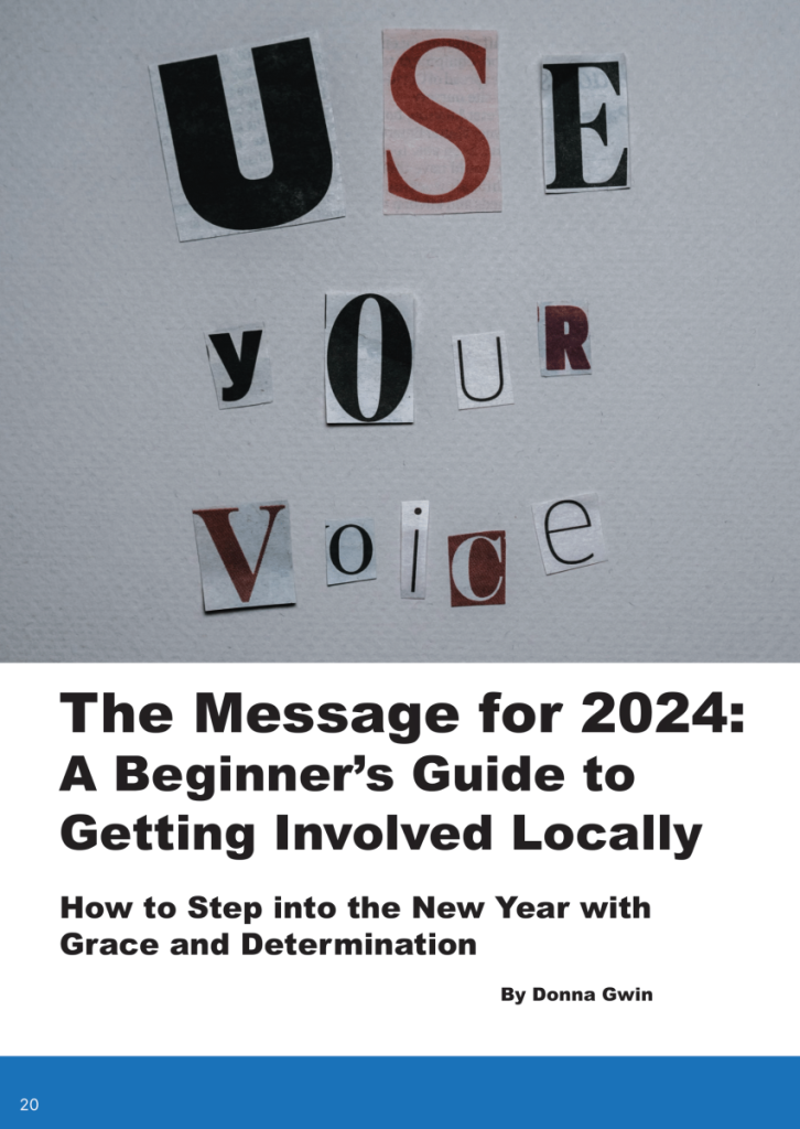 A Beginner’s Guide to Getting Politically Involved Locally  at george magazine