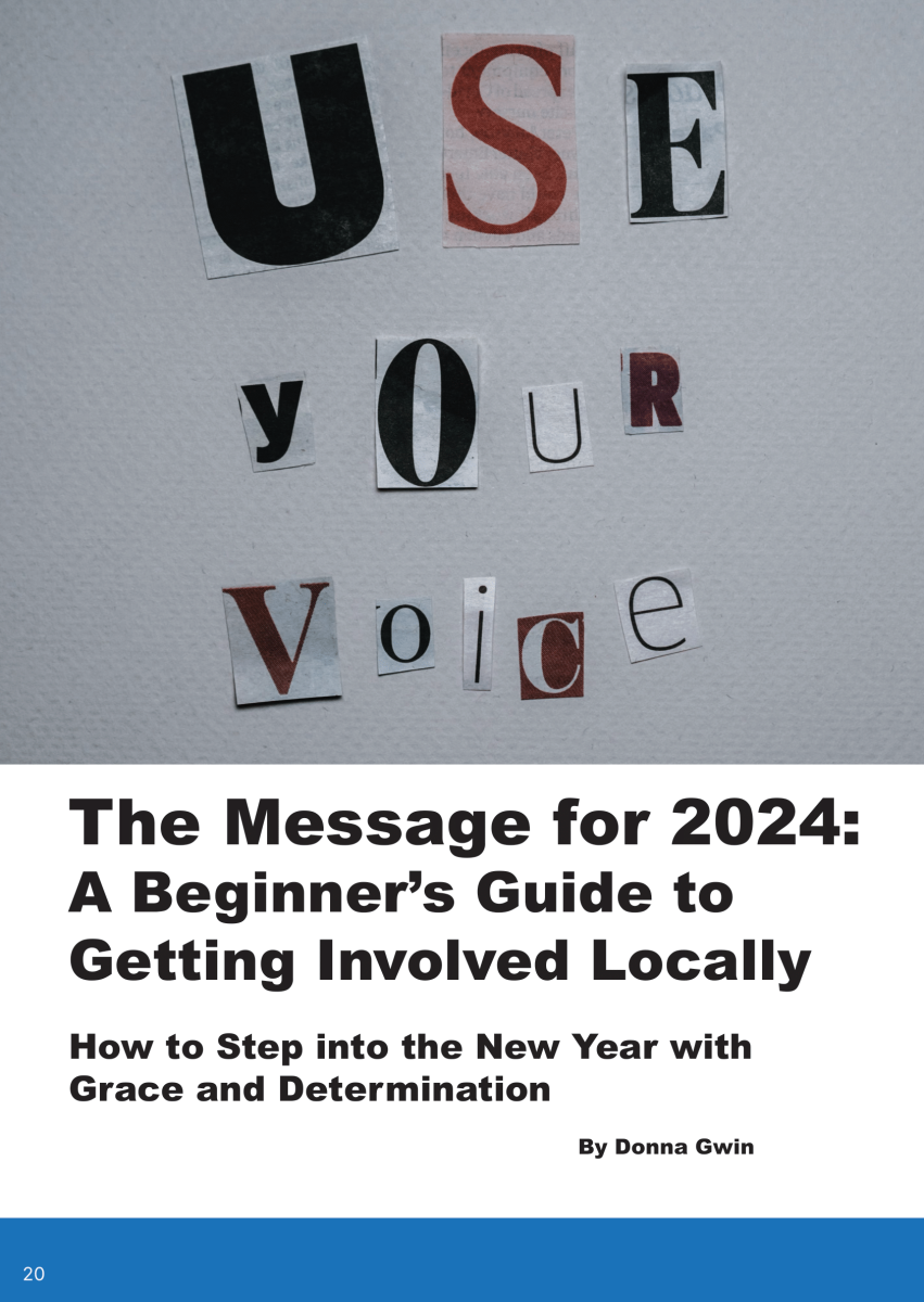 A Beginner’s Guide to Getting Politically Involved Locally