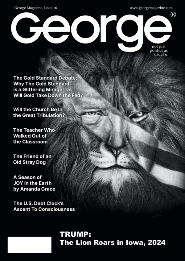 issue 16 at George Magazine
