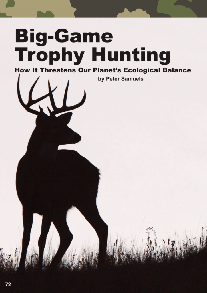 Big-Game Trophy Hunting: Why it is a VERY Bad Thing  at george magazine