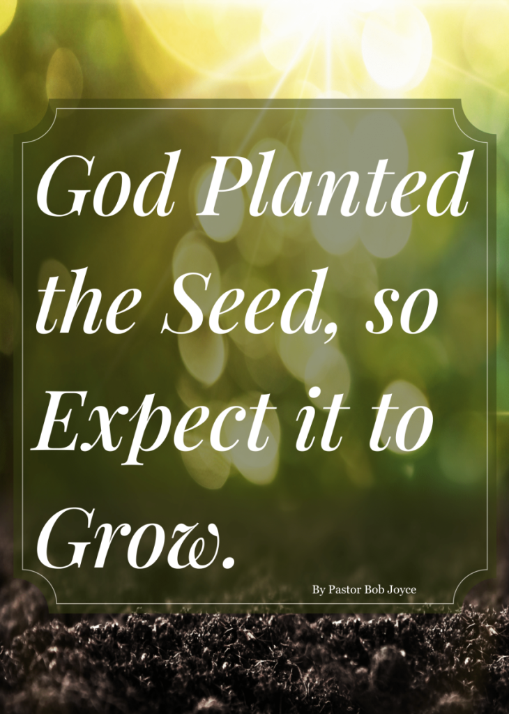 God Planted the Seed so Expect it to Grow