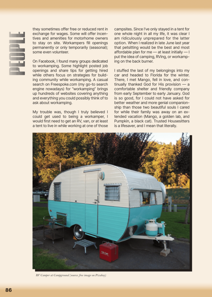 Van Life, Petsitting, and Workaming: Alternative Living Arrangements, Pt.2  at george magazine