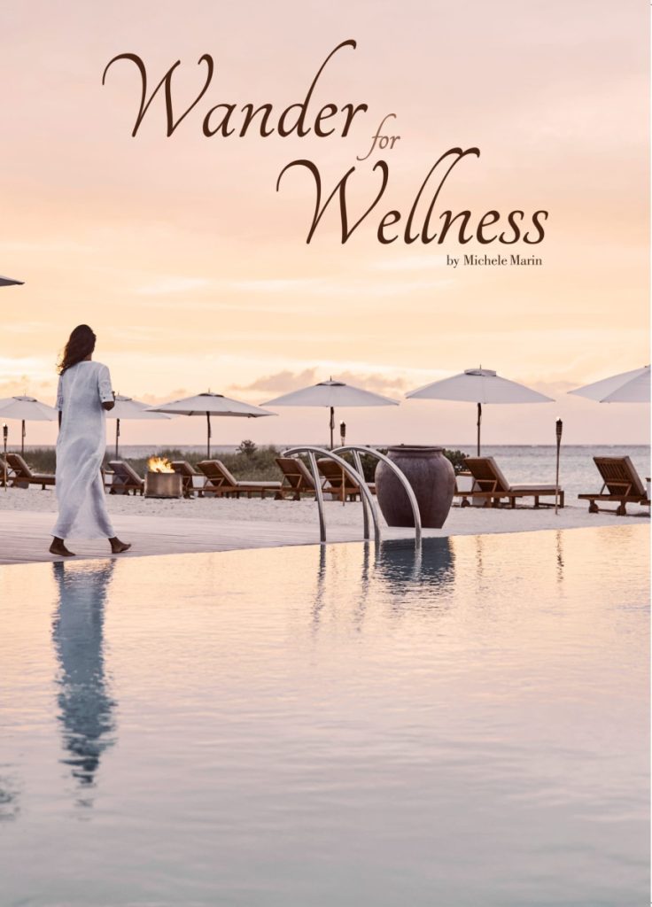 Wander for Wellness