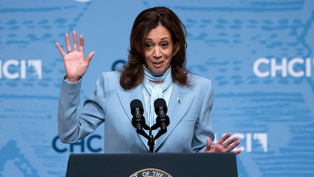 Harris team 'not aware' of stolen Trump docs sent 'directly' to Biden camp  at george magazine