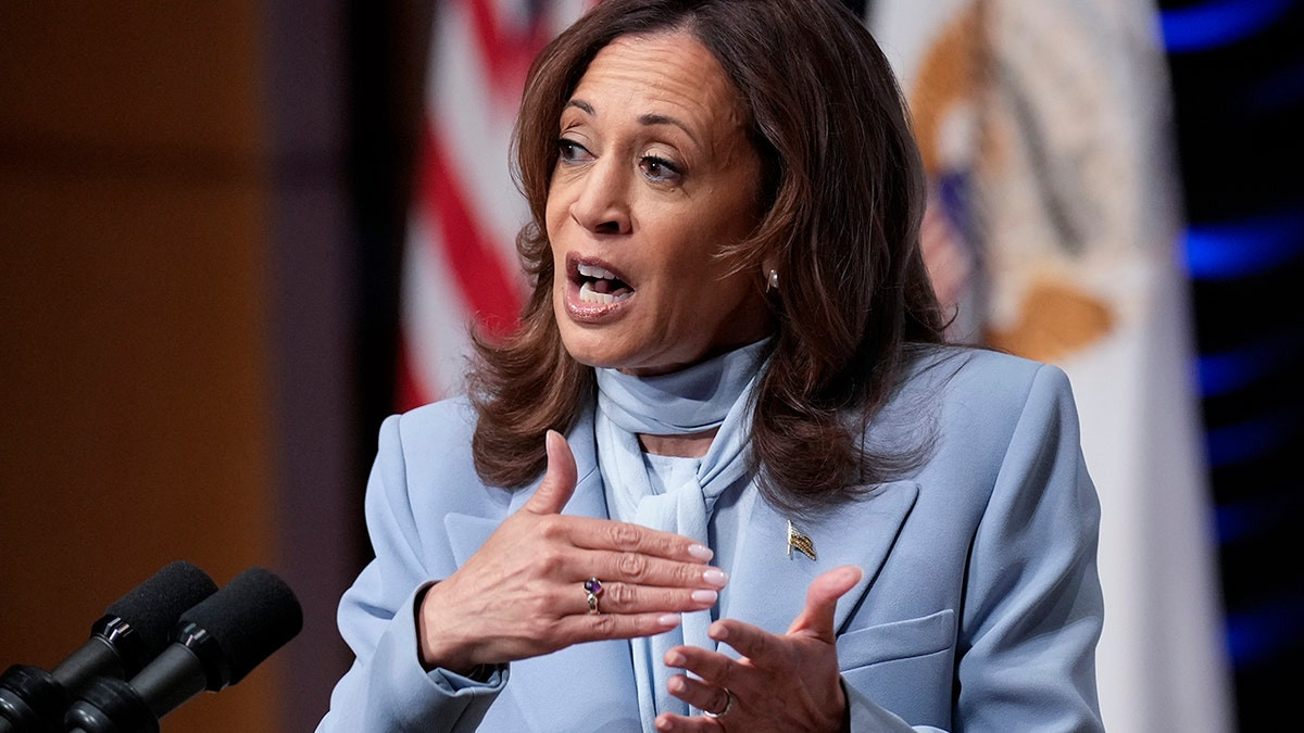 CNN's Bash says you could 'start a drinking game' for every time Harris uses the same talking points  at george magazine