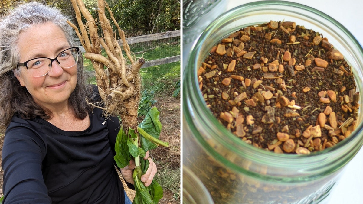 Chicory an all-natural alternative to chemically decaffeinated coffee, says homesteader  at george magazine