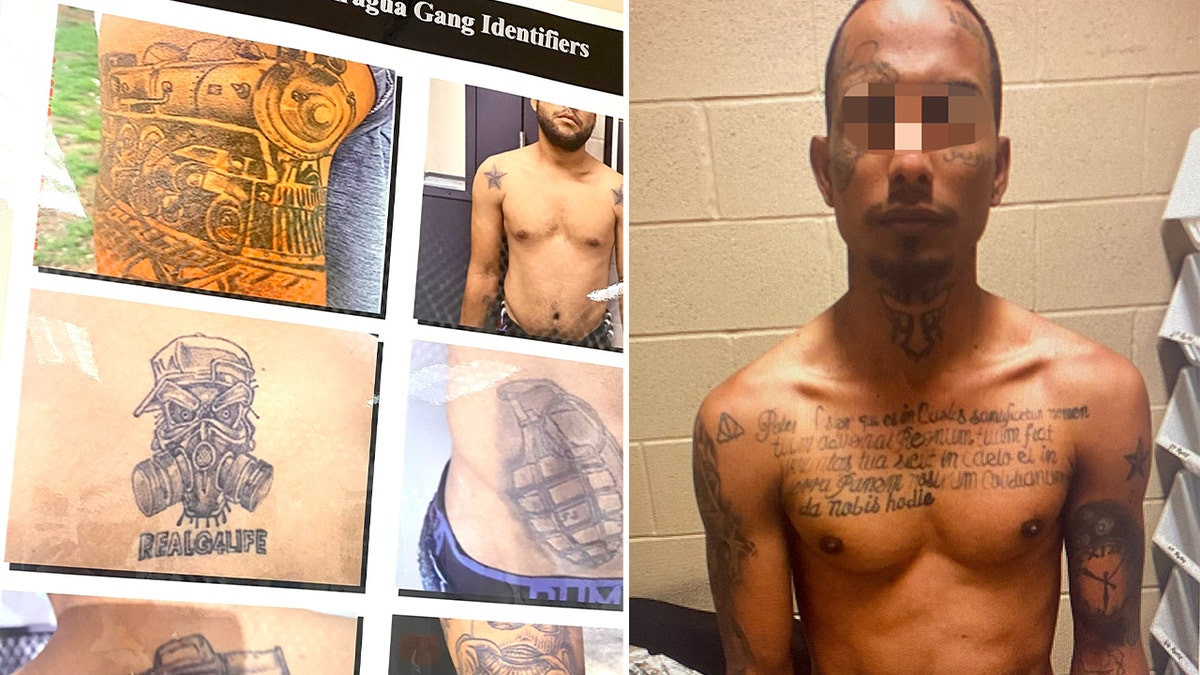 Tren de Aragua members of violent Venezuelan migrant gang arrested in Texas: HSI  at george magazine