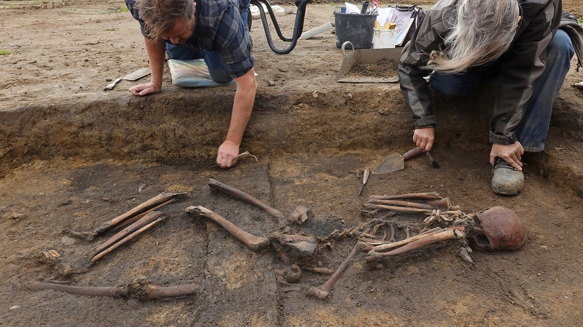 Dozens of ‘exceptionally well-preserved’ Viking skeletons unearthed in Denmark: ‘Truly unusual’  at george magazine