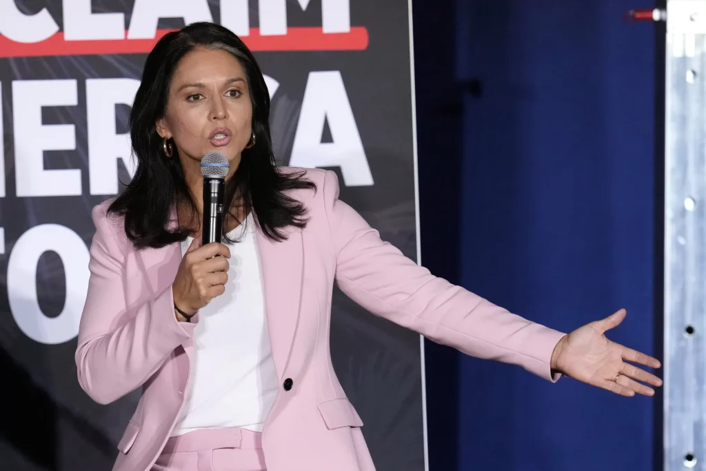 Tulsi Gabbard compares Biden inaction on Hurricane Helene to Maui wildfires