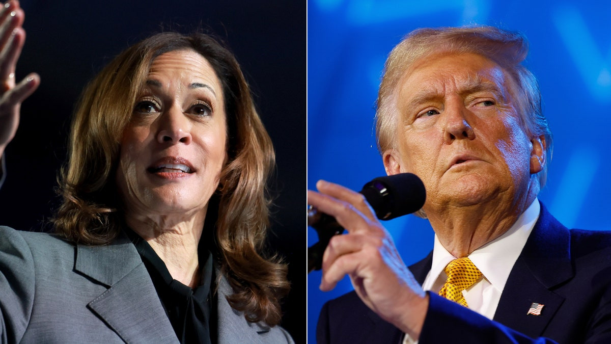 Pennsylvania deadlock: Why Kamala picked the wrong running mate  at george magazine