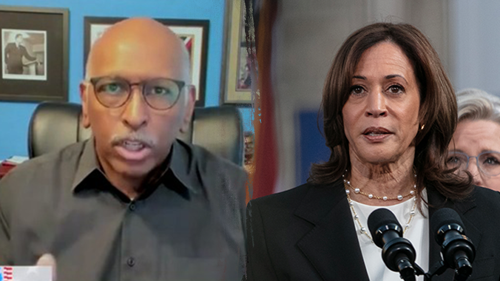 MSNBC’s Steele claims Trump’s the one not doing media as GOP ticket does 3x more interviews than Harris-Walz