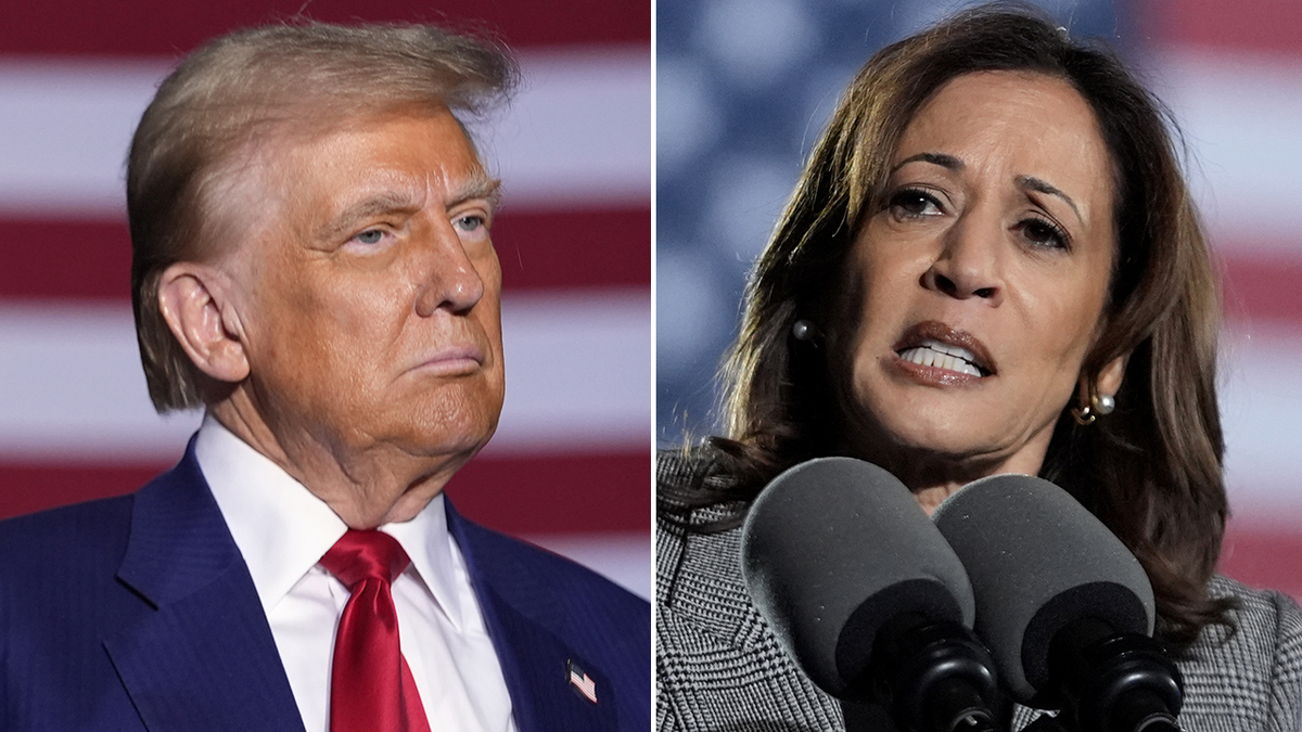 Trump, Harris nearly tied in Michigan as Election Day nears, poll finds  at george magazine