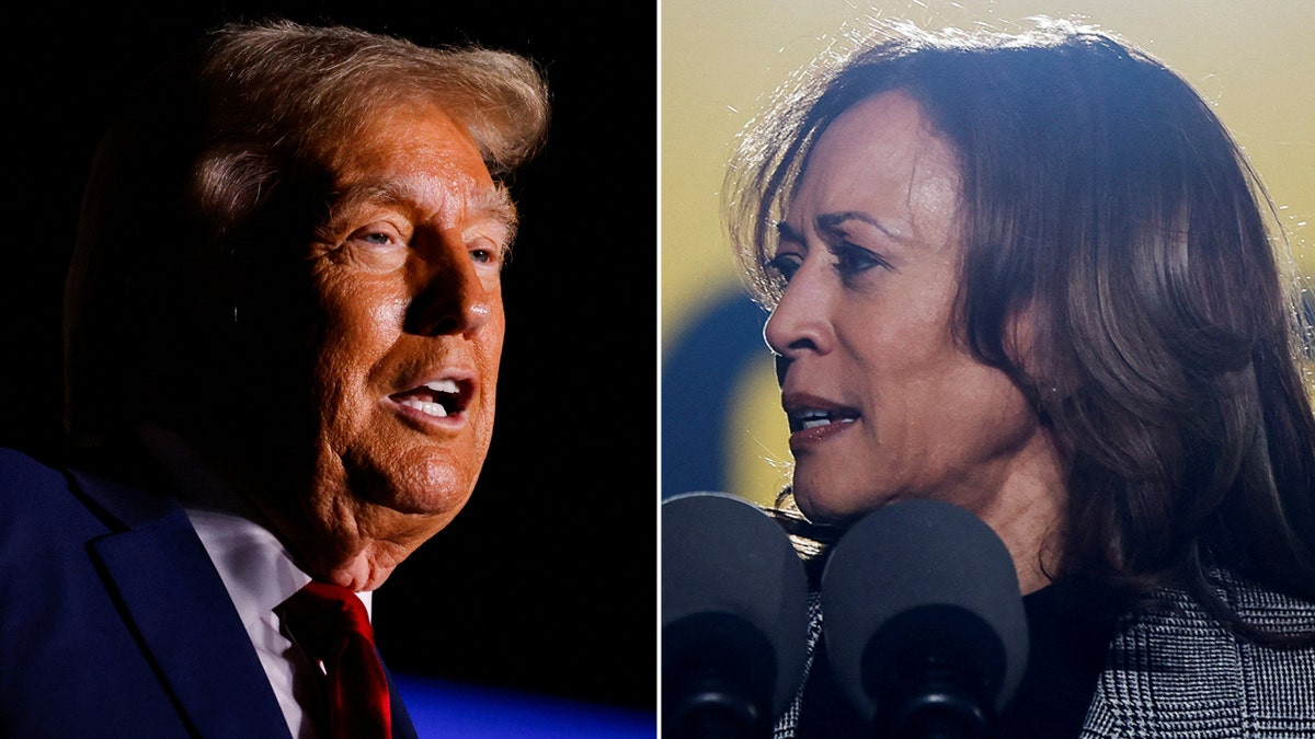 Trump claims Harris runs 'a campaign of absolute hate' following backlash to Madison Square Garden rally  at george magazine