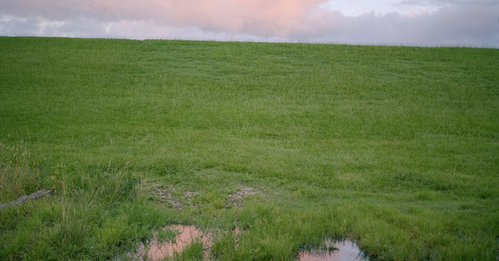 New Orleans’ Striking Advantage in the Age of Climate Change