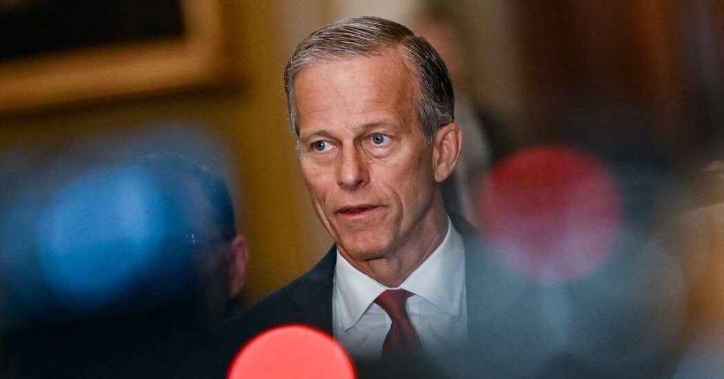 Trump Allies Push Him to Block Thune From Becoming Senate G.O.P. Leader  at george magazine