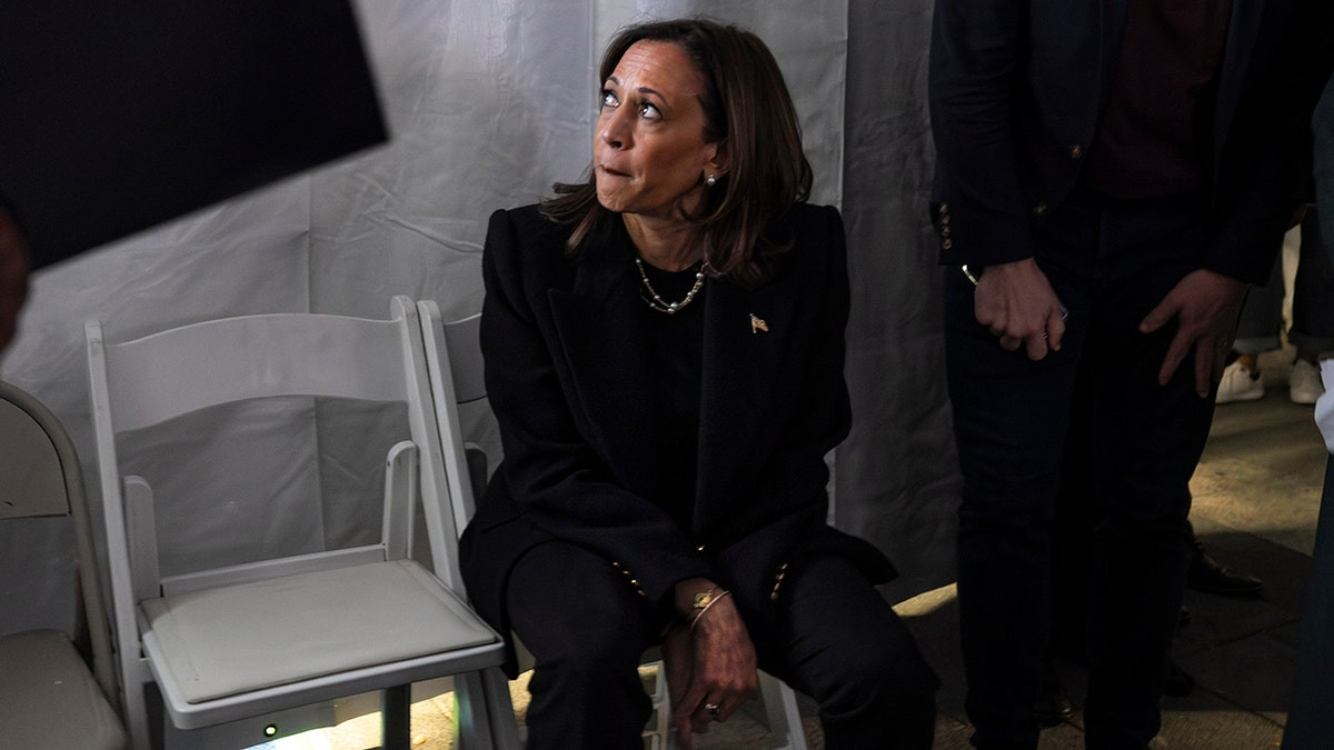 Harris world blame game begins after crushing loss to Trump  at george magazine