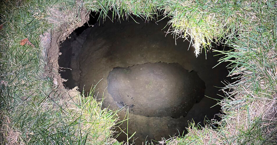 Woman Looking for Cat May Have Fallen Into Sinkhole, Authorities Say  at george magazine