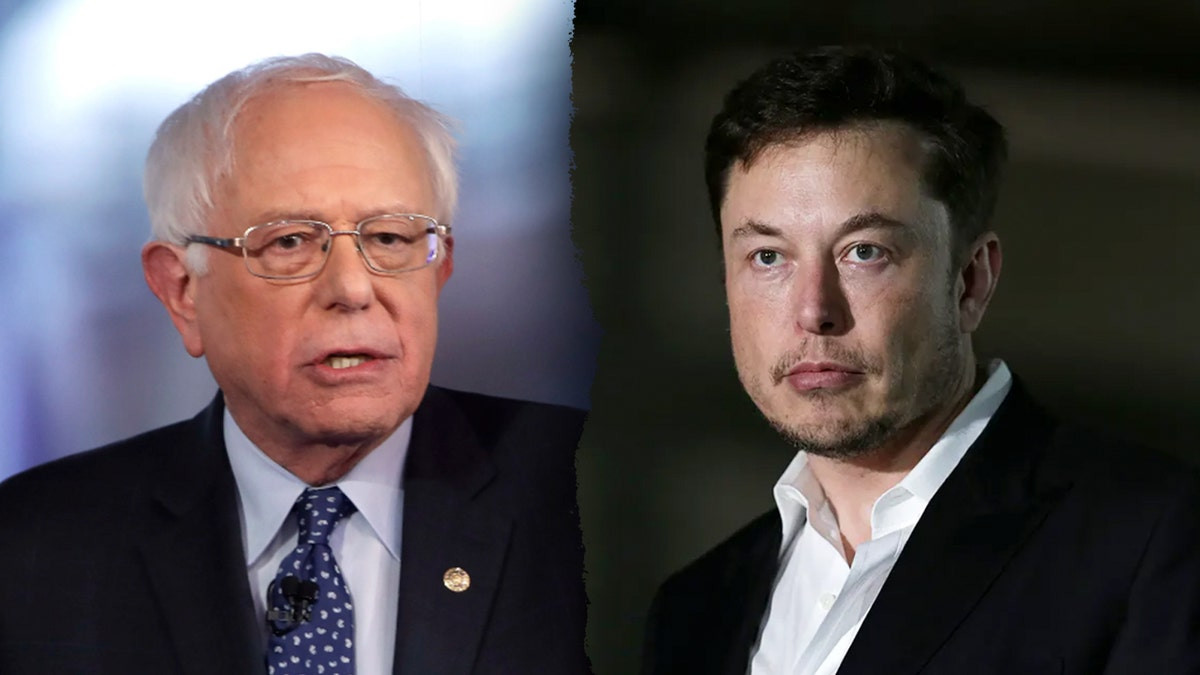 Bernie Sanders admits ‘Elon Musk is right’ to slash Pentagon with DOGE: ‘Lost track of billions’  at george magazine