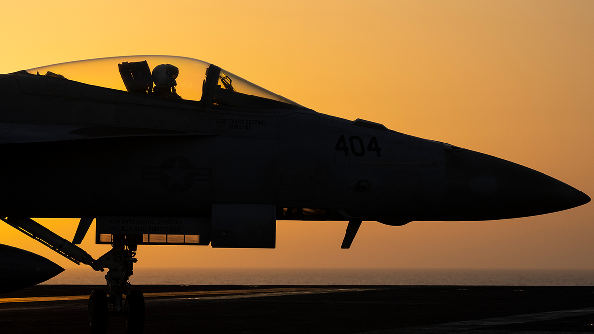 Two US Navy pilots shot down over Red Sea in apparent 'friendly fire' incident: US military  at george magazine