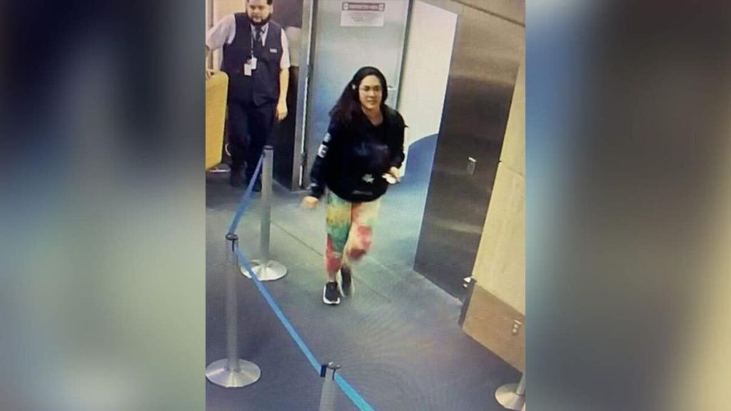 Hannah Kobayashi missed Los Angeles flight intentionally, police say; family claims evidence shows otherwise