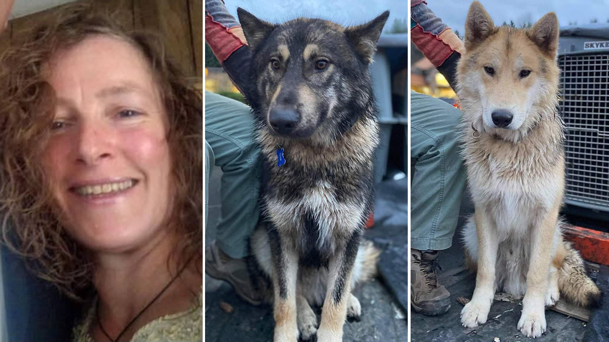 Estranged husband arrested for murder after missing hiker found dead along with dogs: ‘Afraid for her life'  at george magazine