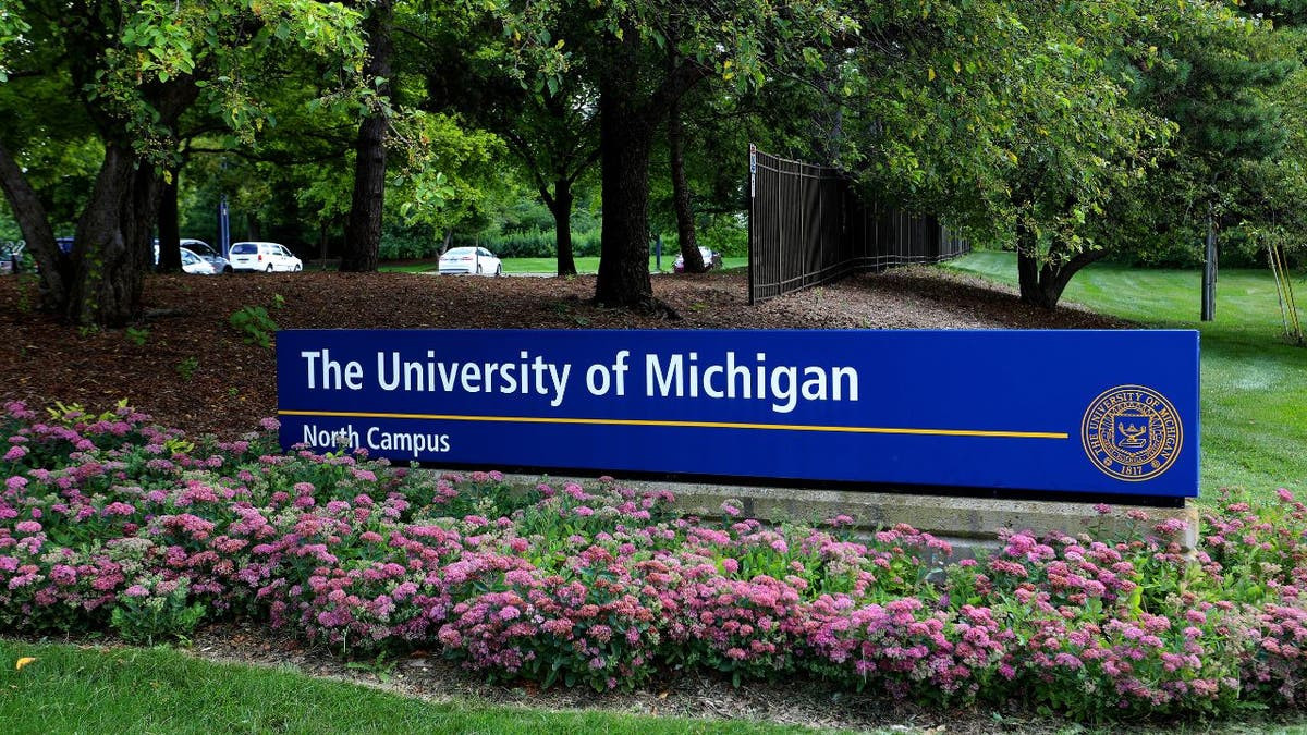 DEI official at University Michigan fired after being accused of making antisemitic remarks: report  at george magazine