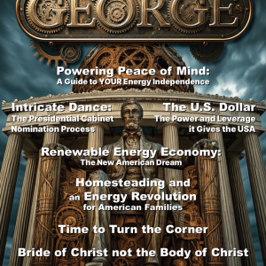 GEORGE Magazine, Issue 29  at george magazine