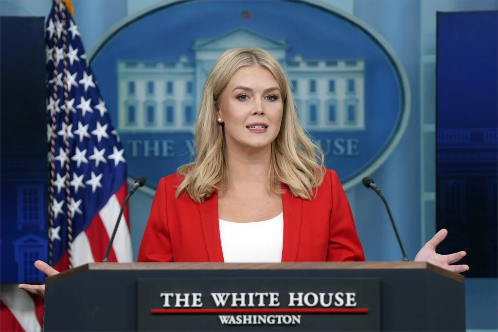 Amy Gleason identified as acting DOGE leader after White House insisted it was not Musk