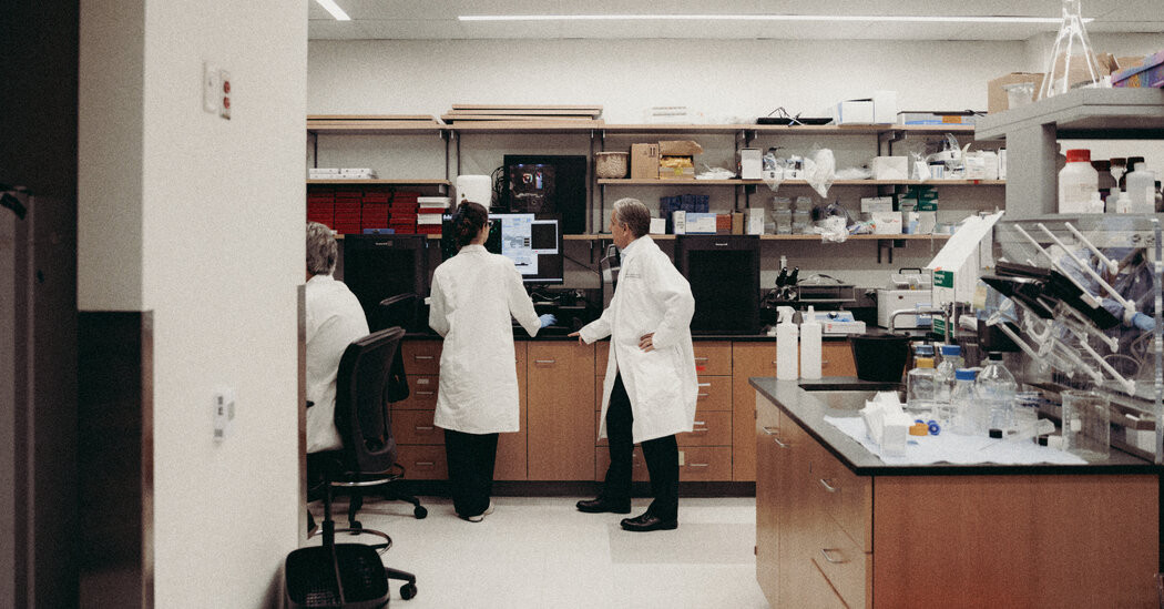 The World Is Wooing U.S. Researchers Shunned by Trump  at george magazine
