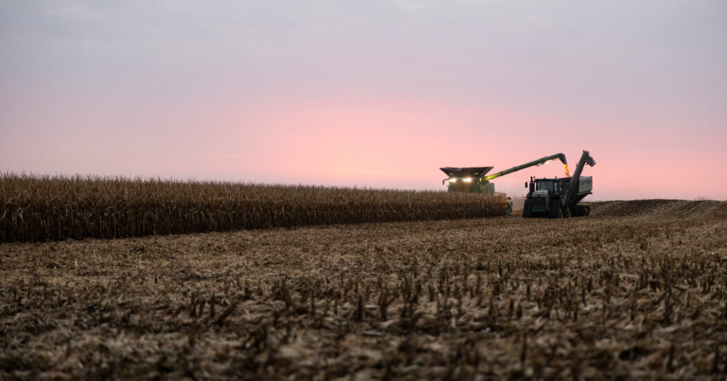 R.F.K. Jr. Has Unlikely Allies in His Drive to Limit Atrazine  at george magazine