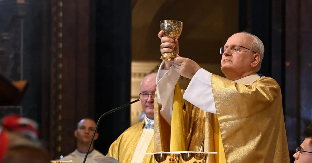 In the Battle for Next Pope, Cardinal Erdö Emerges as a Conservative Favorite  at george magazine