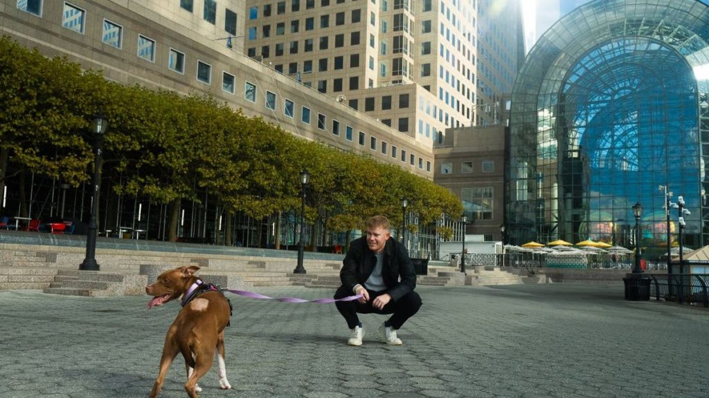 AI technology helps reunite lost dogs with their owners