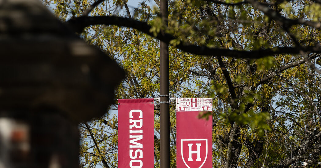 Trump vs. Harvard  at george magazine