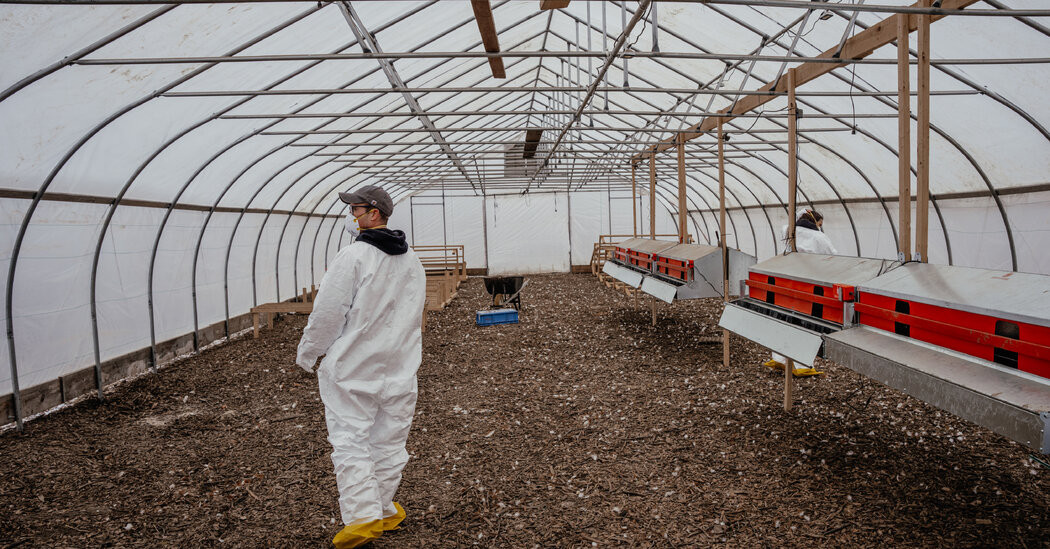 U.S. Cancels Contract With Moderna to Develop Bird Flu Vaccine  at george magazine