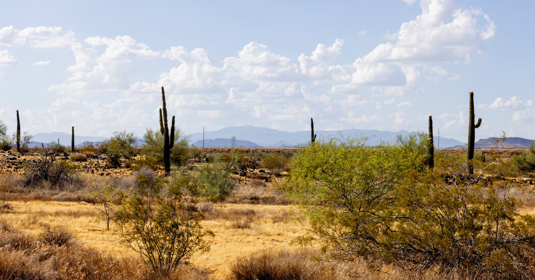 Rare Early June Rainfall Could Reach Phoenix  at george magazine
