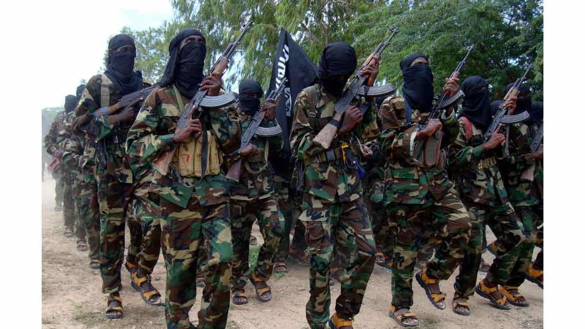 Republican senators move to block Somalia terror funding until allies pay 'fair share'  at george magazine