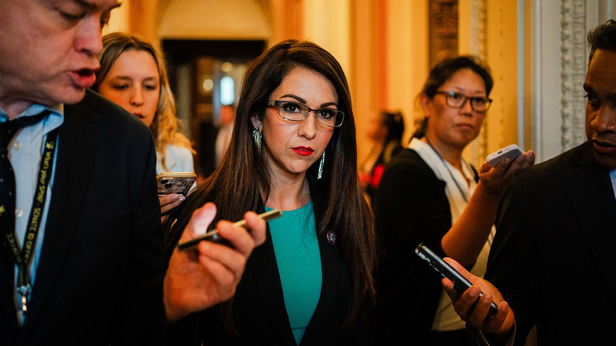 'Obey the law': Conservative firebrand torches blue state immigration policies amid major lawsuit  at george magazine