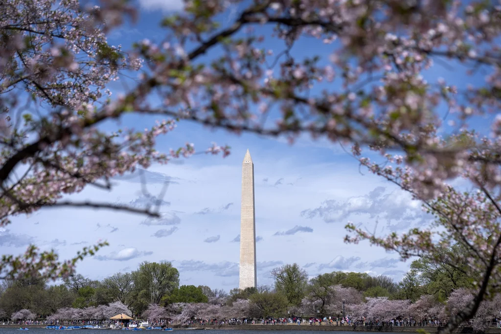 Trump expected to announce DC as host of 2027 NFL draft  at george magazine