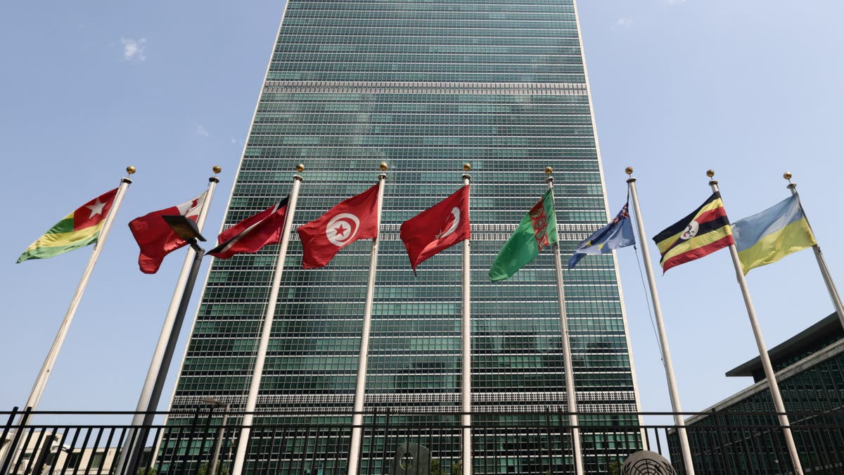 UN said to be stalling reforms in hopes Democrats flip House in midterm elections  at george magazine
