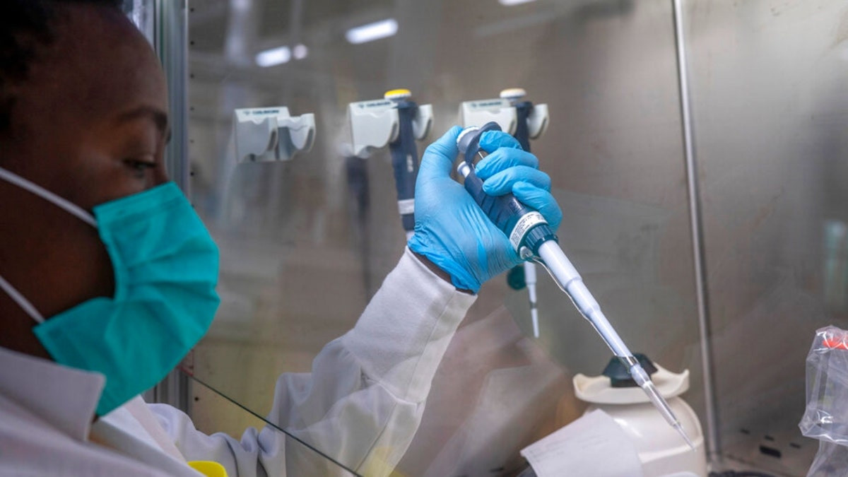US sees cases of new COVID-19 variant linked to surge in China: report  at george magazine