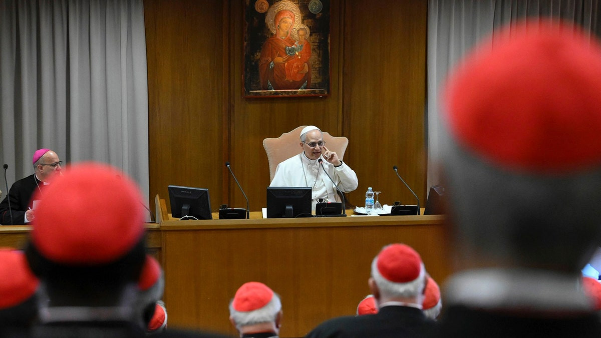 Pope Leo XIV calls this a challenge to 'human dignity' in first address to cardinals  at george magazine