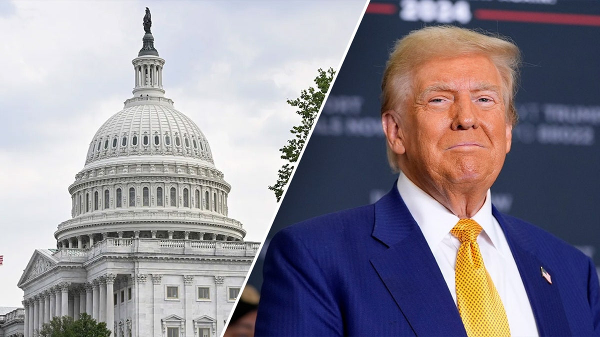 Civil war threatens GOP over millionaire tax hikes in Trump's 'big, beautiful bill'  at george magazine