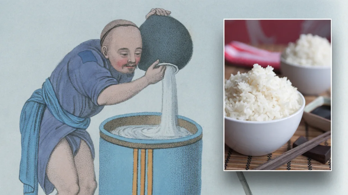 Students cook ancient rice dish based on 2,000-year-old manuscript with surprisingly healthy results  at george magazine
