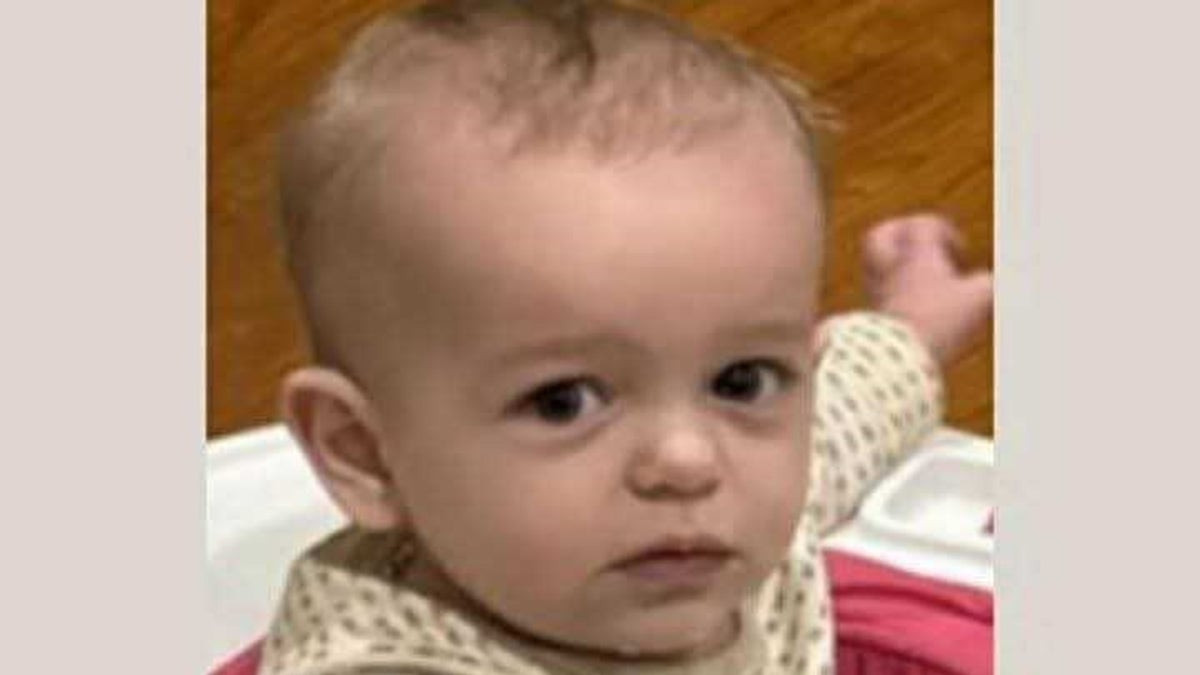 Alabama police find suspected remains of missing one-year-old at family property  at george magazine