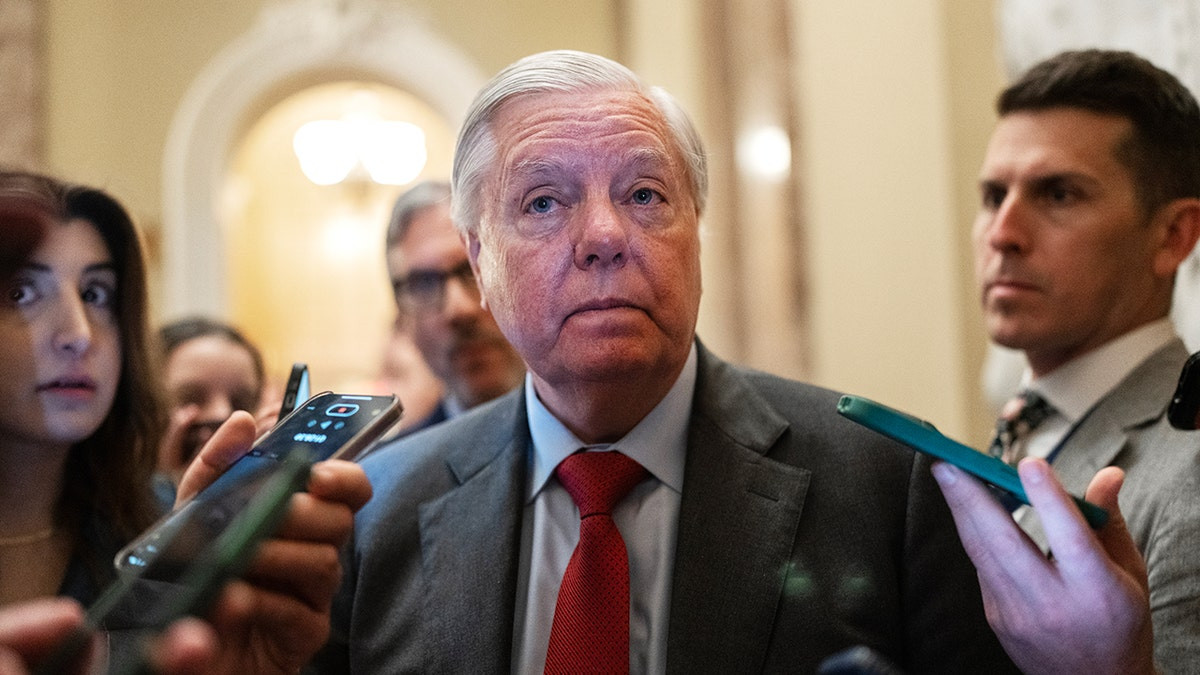 Lindsey Graham draws Democratic Senate challenger who previously lost congressional race  at george magazine