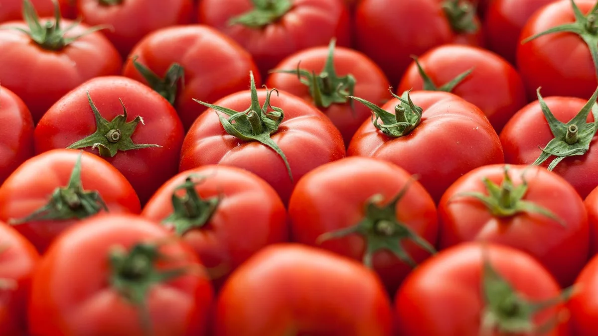 Vine-ripe tomatoes recalled due to salmonella risk: 'Do not consume'  at george magazine